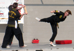 Lisa side kick