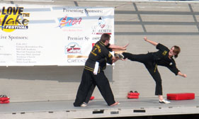 Lisa side kick